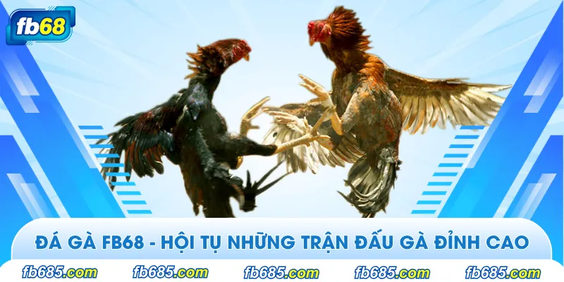 Đá gà FB68
